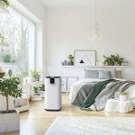 Best 5 Big, Large & High-Capacity Dehumidifiers In 2020 Reviews