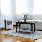 Best 5 Dehumidifiers For Asthma On The Market In 2020 Reviews
