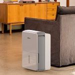 Best 5 Dehumidifiers To Use In Summer In 2020 Reviews + Guide