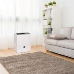 2 Best 60 Pint Dehumidifiers On The Market In 2020 Reviews