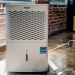 5 Best 50-Pint Dehumidifiers On The Market In 2020 Reviews